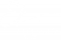 THE ART OF MOTION