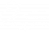 THE ART OF MOTION
